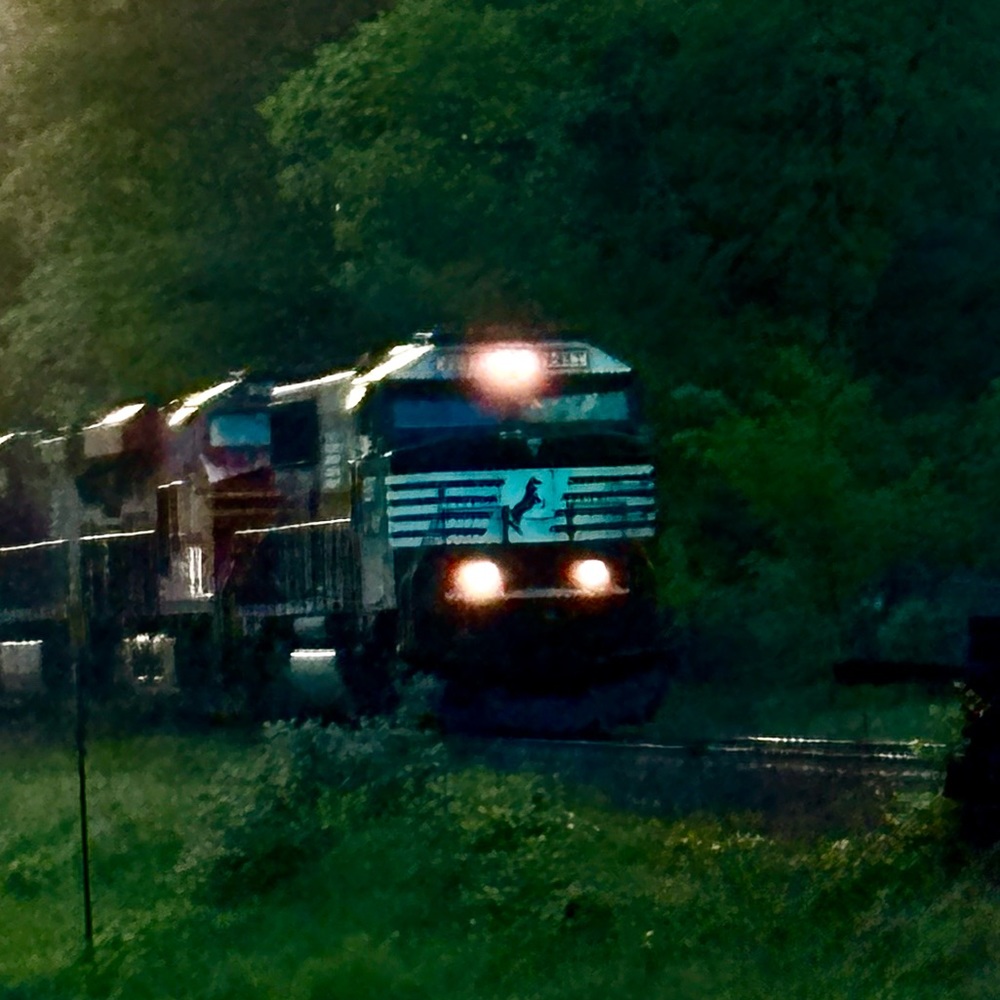 Meet your Posher, Gavin